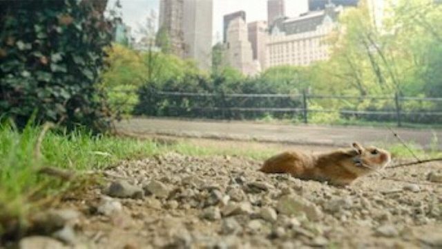 Fauna Minúscula S01E02