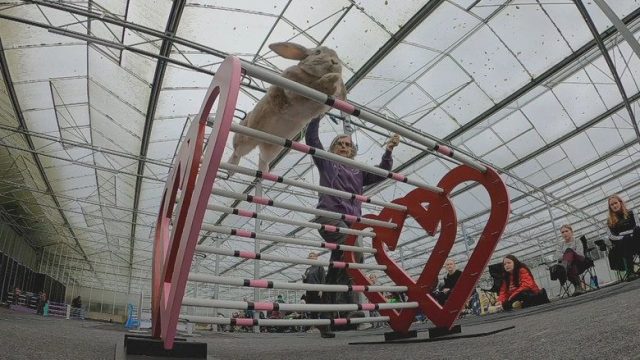 The Secret Life of Our Pets S01E03