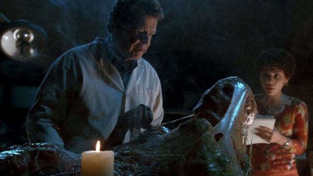 Fringe S02E19