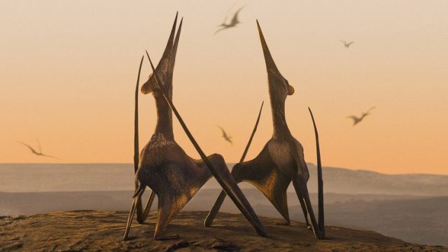 Planeta prehistórico S01E02