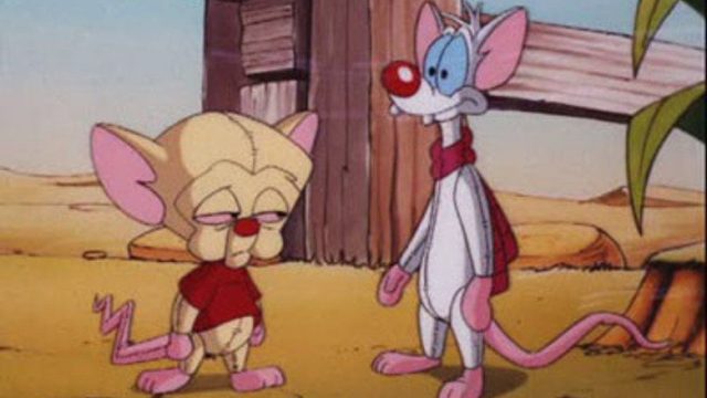 Pinky y Cerebro S03E38