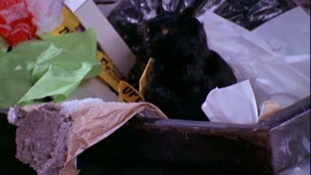 Sabrina, la bruja adolescente S01E11
