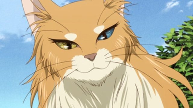 The Ancient Magus' Bride (Mahou Tsukai no Yome) S01E04