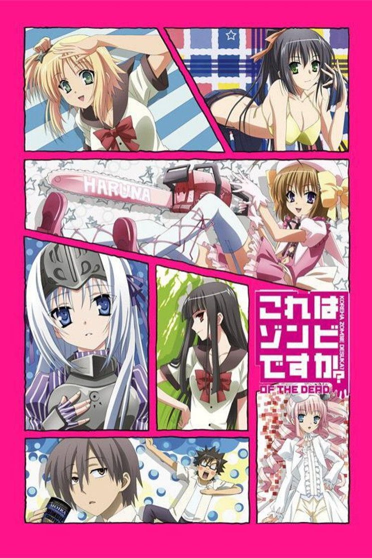 Kore wa Zombie Desu ka Temporada 2