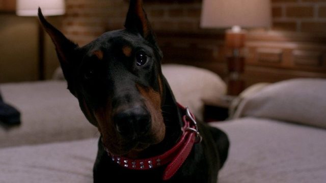 Supernatural S08E15