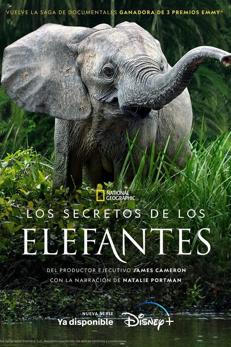 Secretos de los Elefantes Temporada 1