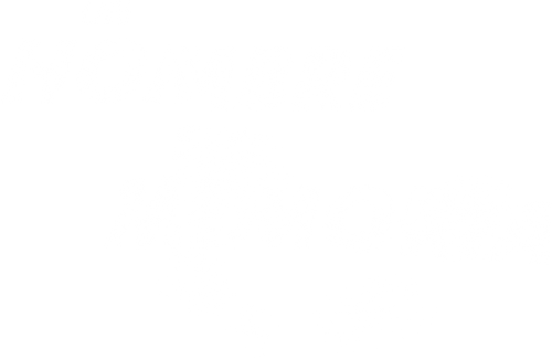 Un hombre sin memoria
