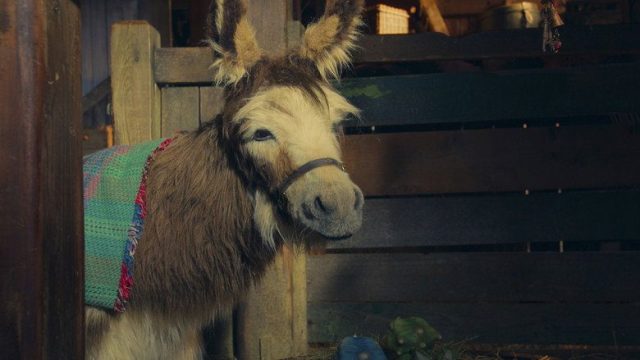 Nuestra pequeña granja S02E05