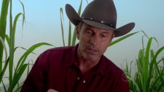 Hawaii Five-0 S04E02