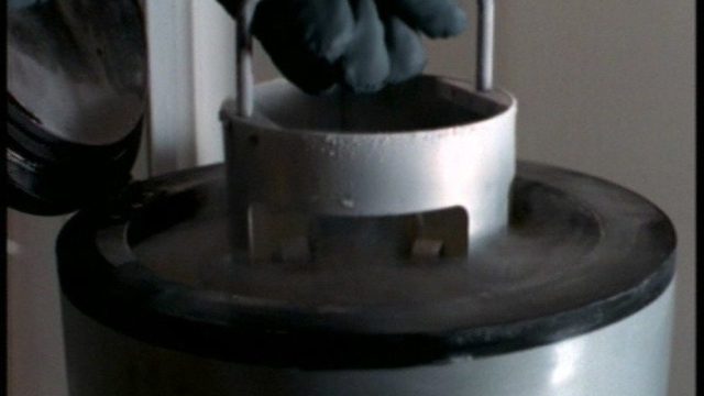 Los Expedientes Secretos X S00E30