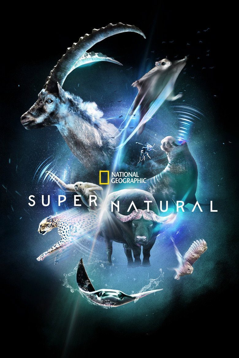 Super/Natural Temporada 1