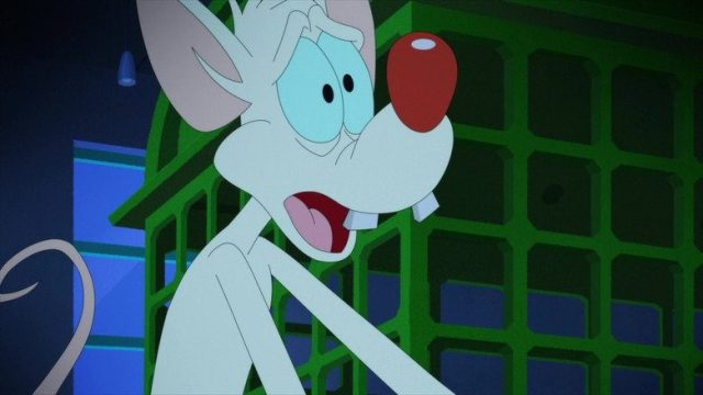 Animaniacs S02E24