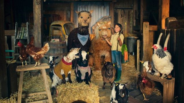 Nuestra pequeña granja S01E06