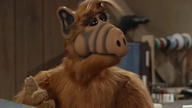 ALF S03E14