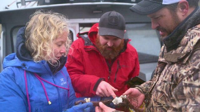 El oro pirata de la isla de Adak S01E05