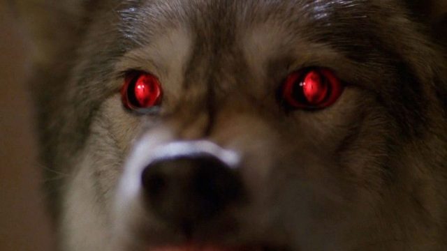 Los Expedientes Secretos X S06E16