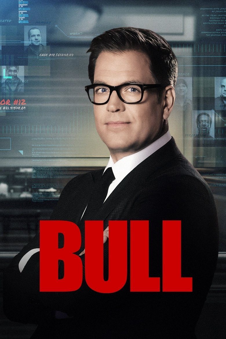 Bull Temporada 6