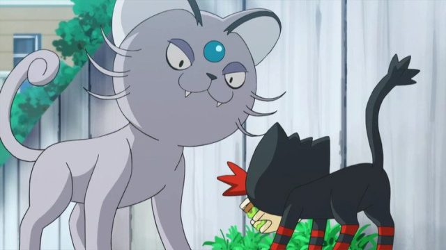 Pokémon S20E07