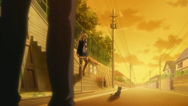 にゃんこい! S01E06