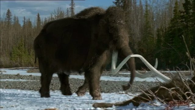 Prehistoric Park S01E02