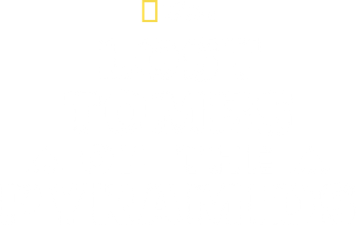 Lost Tombs of the Pyramids