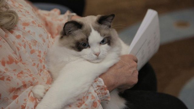 Going Fur Gold S01E03
