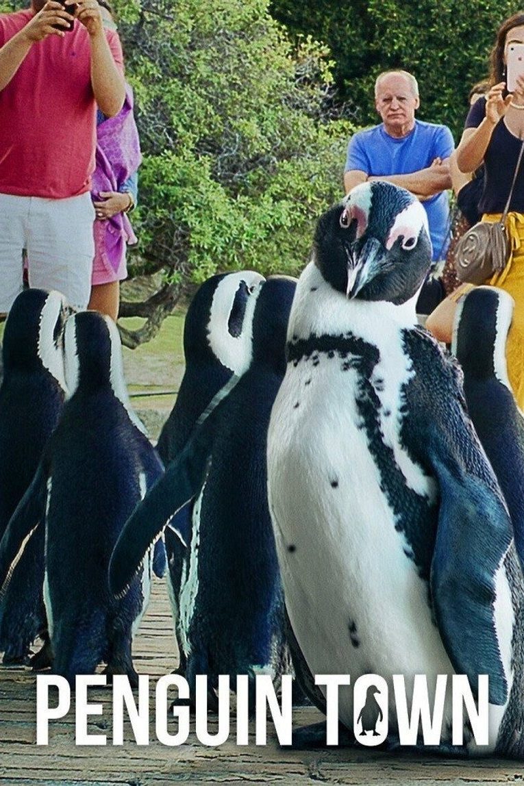 Colonia Pingüino Temporada 1
