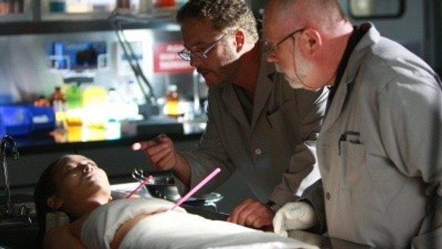 CSI: Las Vegas S09E06