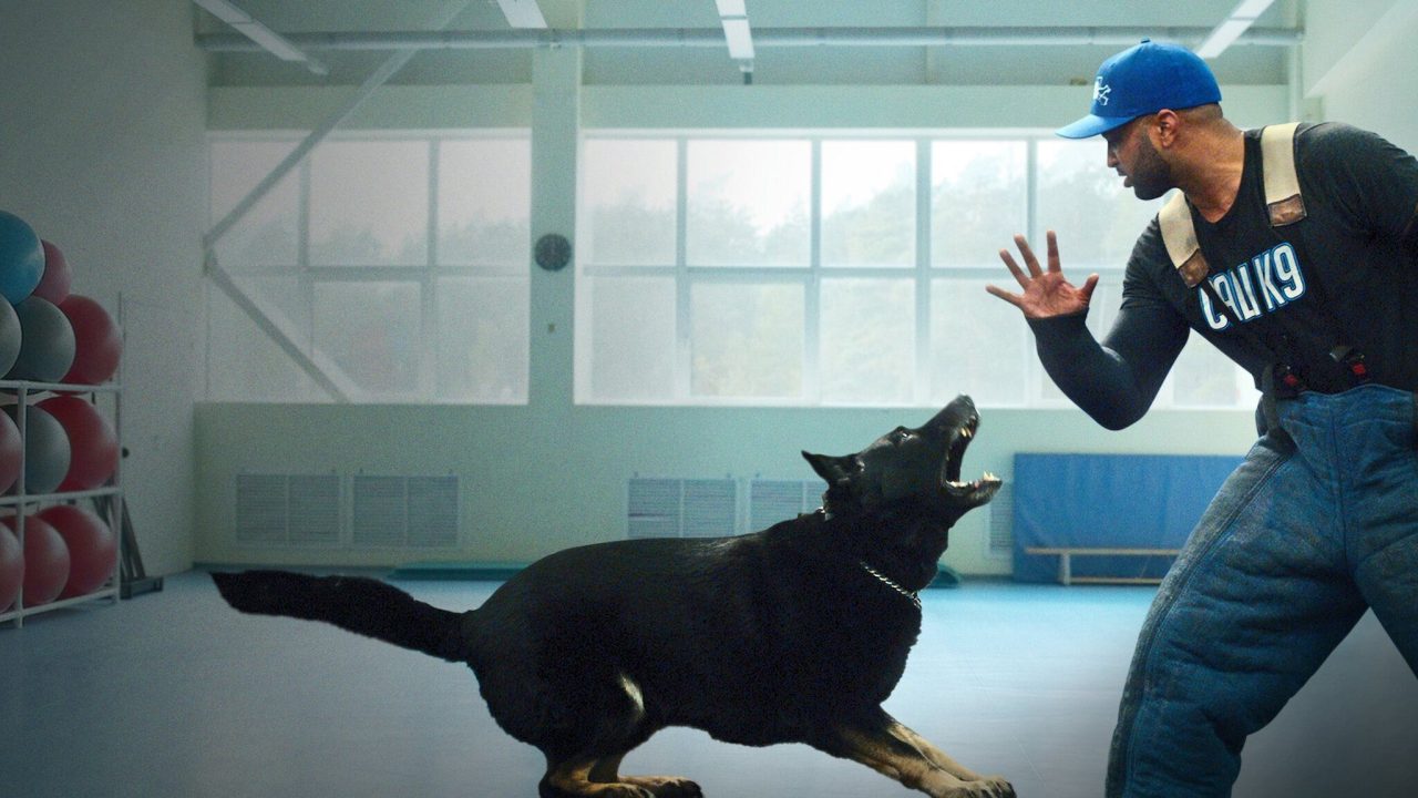 Adiestramiento canino