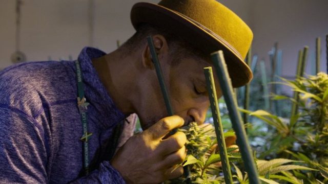 El negocio de las drogas S01E05
