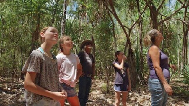 Izzy y los koalas S02E05