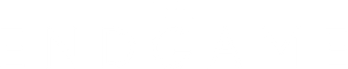 The Endgame