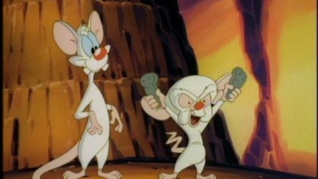 Animaniacs S01E122