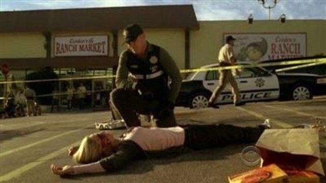 CSI: Las Vegas S11E10