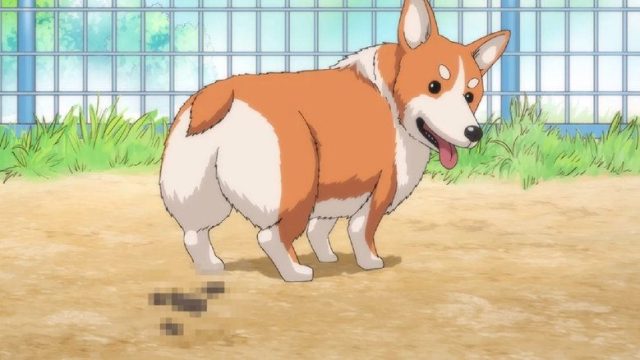 Oda Cinnamon Nobunaga S01E05
