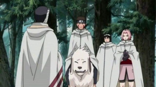 Naruto Shippuden S10E212