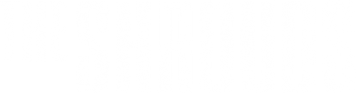 The Shrouds