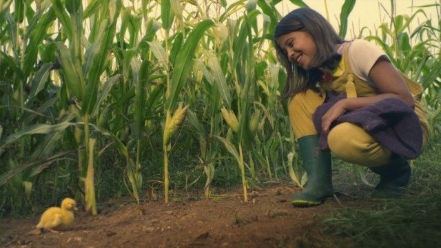 Nuestra pequeña granja S02E07
