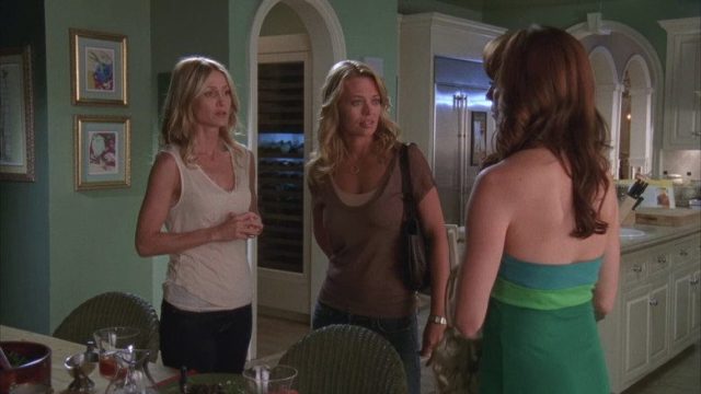The O.C. Vidas Ajenas S03E05
