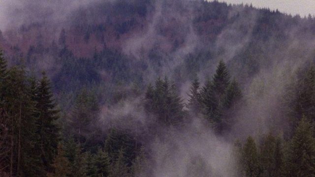 Twin Peaks S00E79
