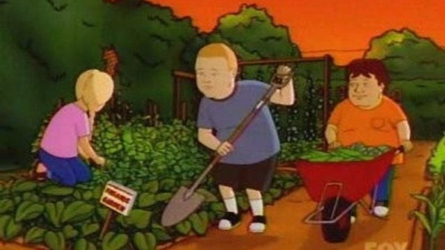 Los Reyes de la Colina S07E18