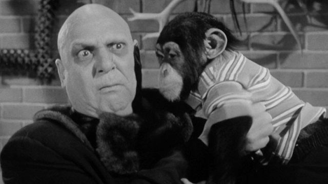 Los locos Addams S01E28