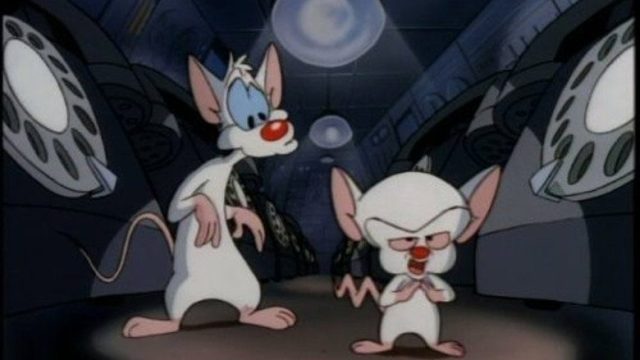 Animaniacs S01E147