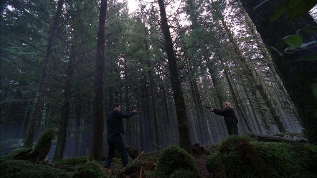 Fringe S02E21