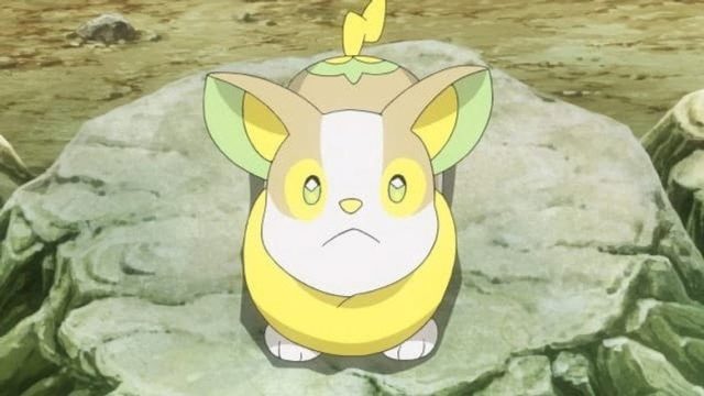 Pokémon S25E17