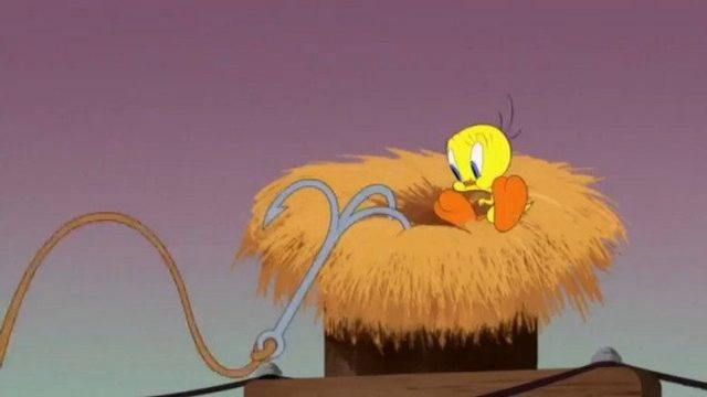 Looney Tunes Cartoons S01E87