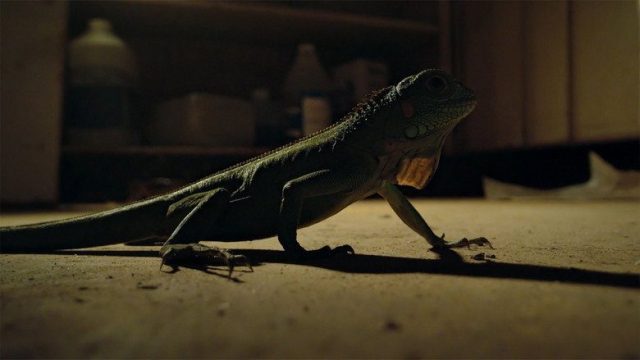 Naturaleza de pesadilla S02E03