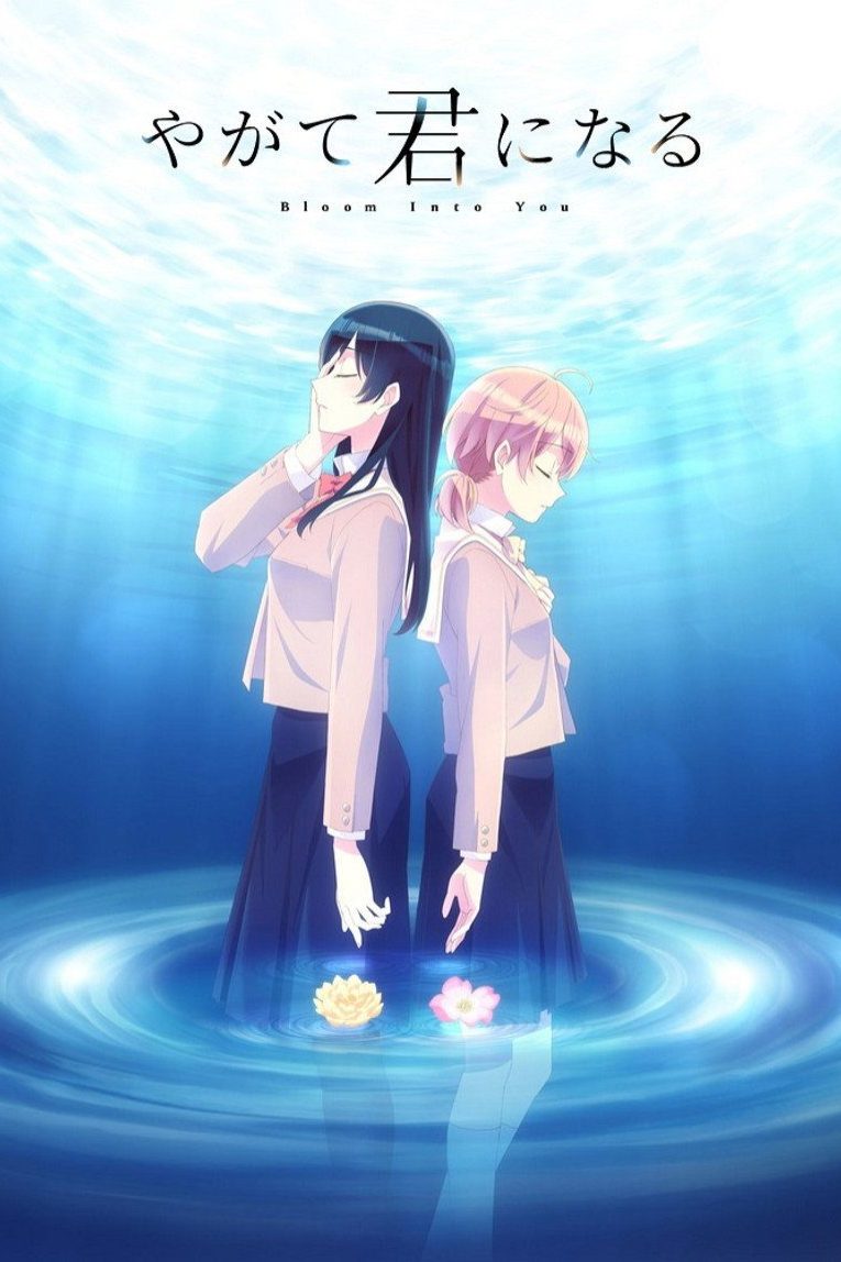 Yagate Kimi ni Naru Temporada 1