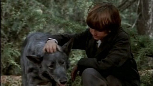 La familia Ingalls S08E12