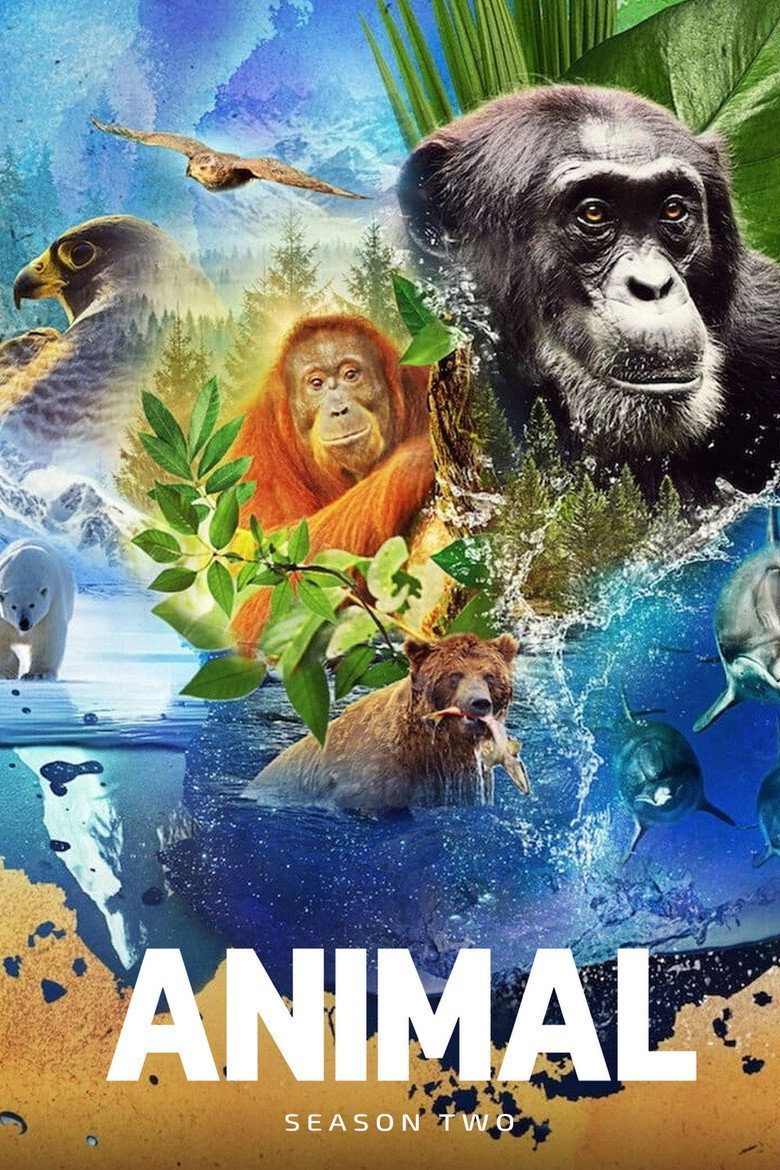 Animal Temporada 2